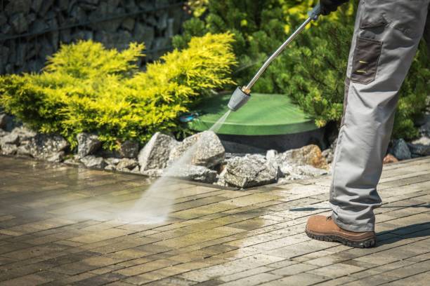 Best Driveway Pressure Washing  in Lake Helen, FL